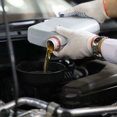 revision scenic 3 revision-scenic-3